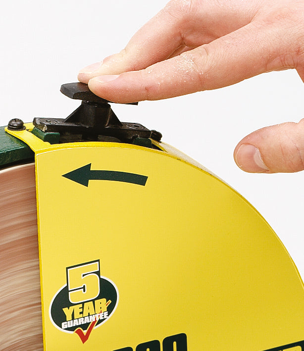 Record Power DS300 – Levigatrice a disco professionale